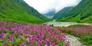 Valley of Flowers Trek – 6 Days / 5 Nights