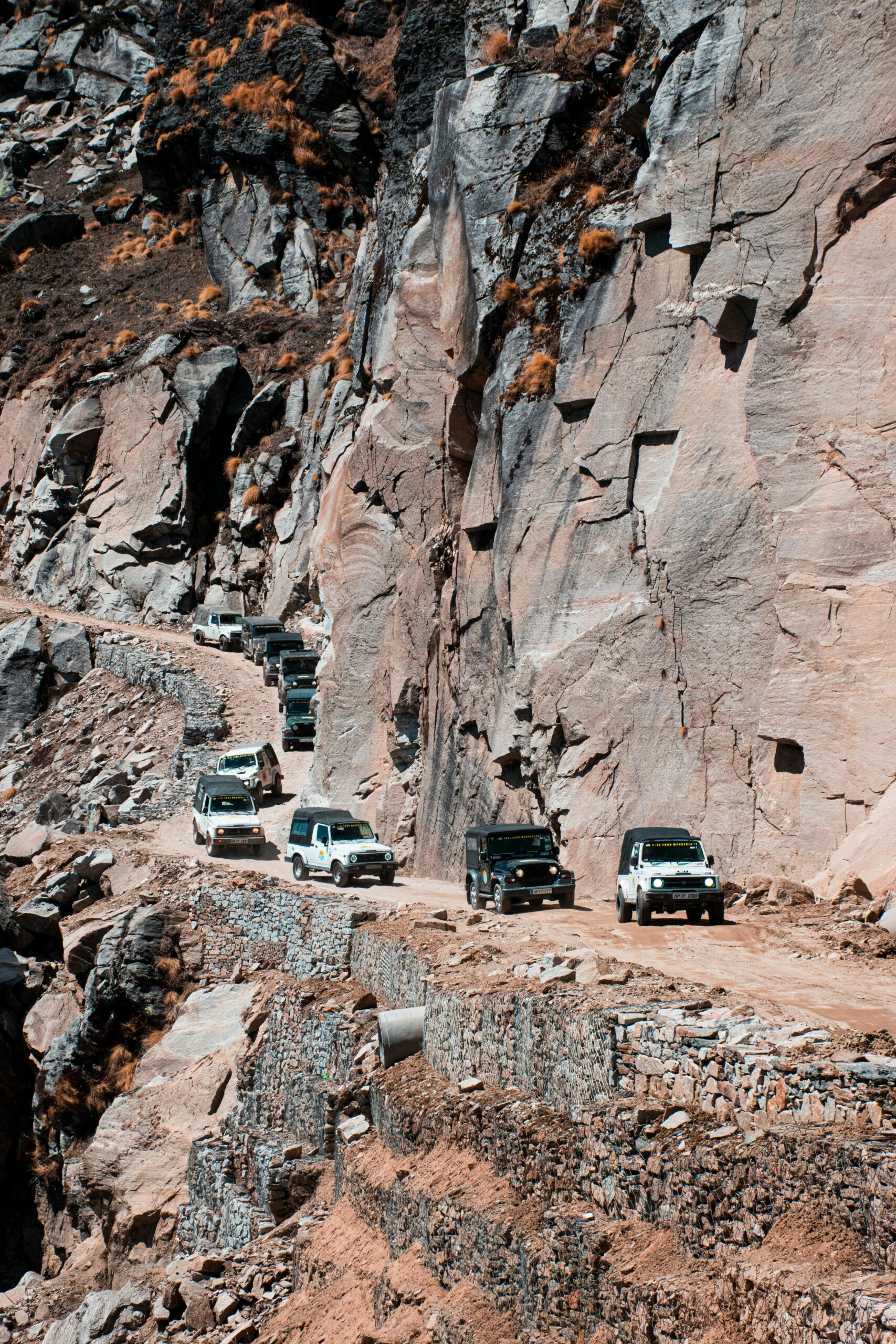 pexels-excursion-9977270 pexels-excursion-9977270